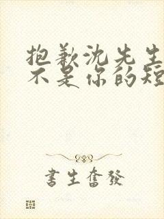抱歉沈先生孩子不是你的短剧免费观看全集