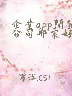 企业app开发公司哪家好