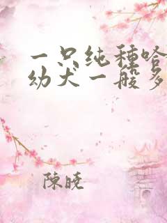 一只纯种哈士奇幼犬一般多少钱
