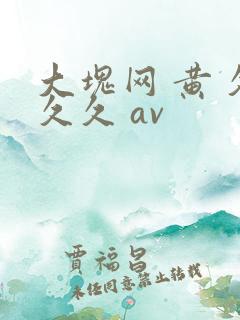 大块网 黄 久久久 av