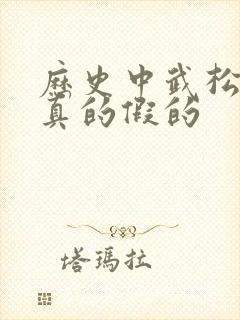 历史中武松打虎真的假的