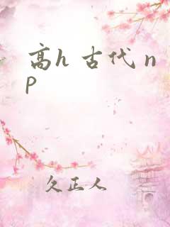 高h 古代 np