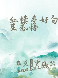 红楼梦好句摘抄及感悟