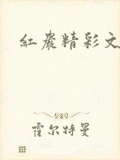 红岩精彩文段