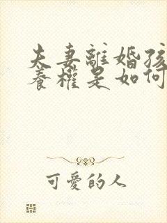 夫妻离婚孩子抚养权是如何判定的