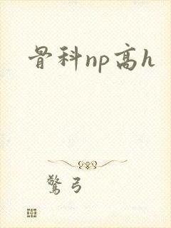 骨科np高h