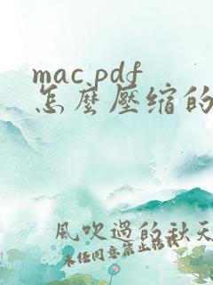 mac pdf怎么压缩的小一点
