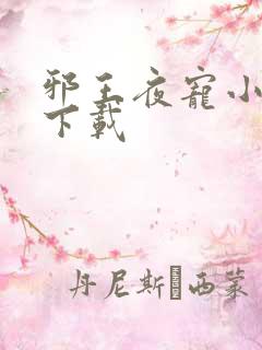 邪王夜宠小毒妃下载