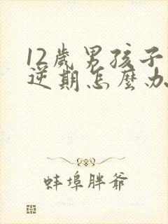 12岁男孩子叛逆期怎么办