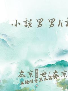 小说男男h调教