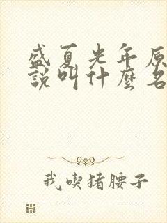 盛夏光年原著小说叫什么名字