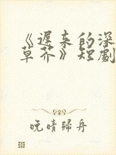 《迟来的深情如草芥》短剧免费观看