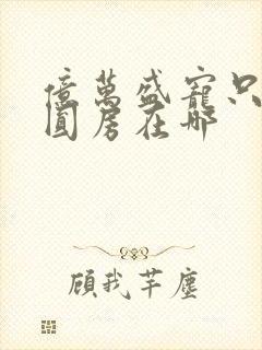 亿万盛宠只为你圆房在哪