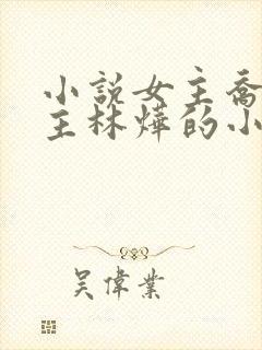 小说女主乔念男主林烨的小说