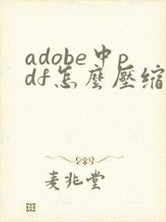 adobe中pdf怎么压缩文件大小