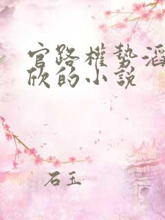 官路权势滔天宁欣的小说