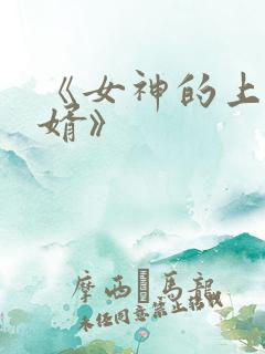 《女神的上门豪婿》
