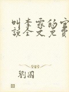 叫李霖的官场小说全文免费阅读