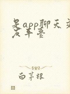 是app聊天交友平台