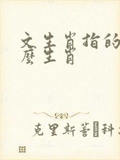 文生肖指的是什么生肖