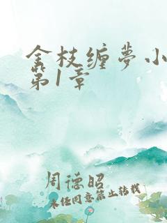 金枝缠梦小说看第1章