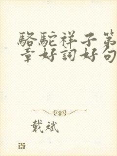 骆驼祥子第18章好词好句