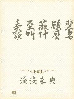 秦至薇顾裴寂小说叫什么名字