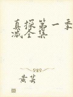 真探第一季无删减全集