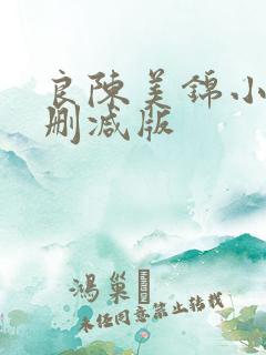 良陈美锦小说未删减版