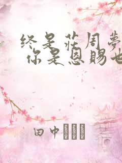 终是庄周梦了蝶 你是恩赐也是劫意思