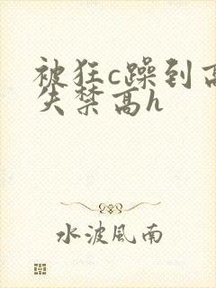 被狂c躁到高潮失禁高h