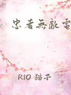 忠者无敌电视剧