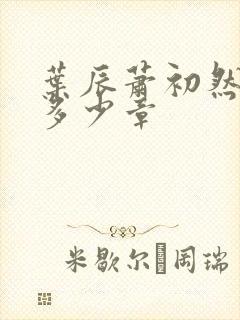 叶辰萧初然一共多少章