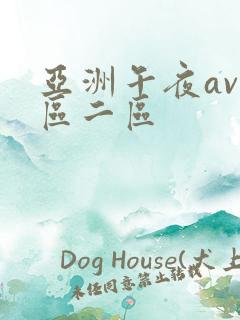亚洲午夜av一区二区