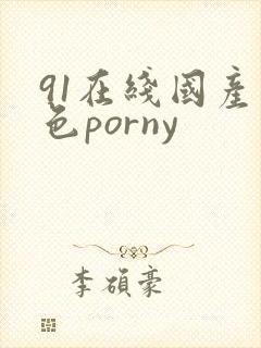91在线国产九色porny