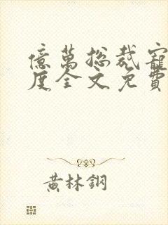 亿万总裁宠妻无度全文免费阅读