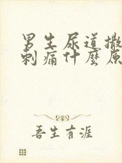 男生尿道撒尿有刺痛什么原因