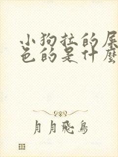 小狗拉的屎是白色的是什么原因