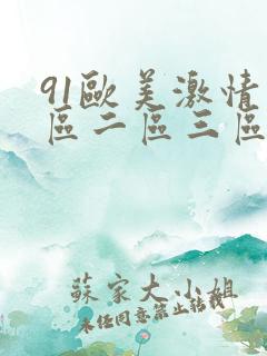 91欧美激情一区二区三区