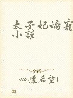 太子妃娇宠日常小说