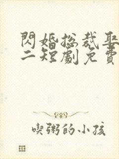 闪婚总裁娶一送二短剧免费