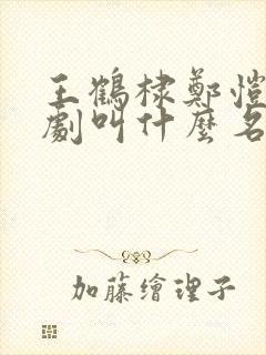 王鹤棣郑恺电视剧叫什么名字