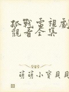 孤战电视剧免费观看全集
