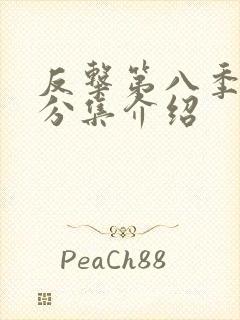 反击第八季剧情分集介绍