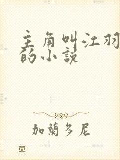 主角叫江羽韩菲的小说
