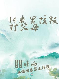 14岁男孩叛逆打父母