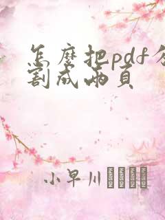 怎么把pdf分割成两页