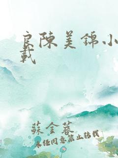 良陈美锦小说下载