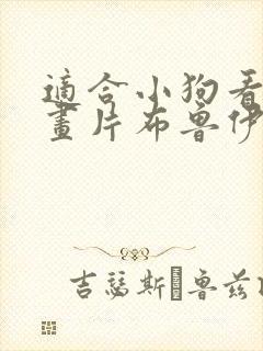 适合小狗看的动画片布鲁伊