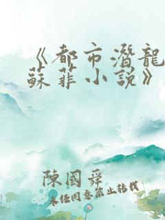 《都市潜龙赵东苏菲小说》